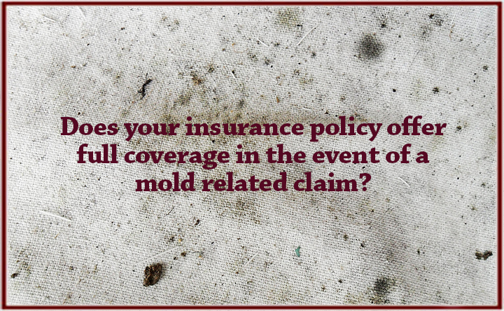 Mold Related Claims