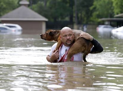 Flood_man carrying dog